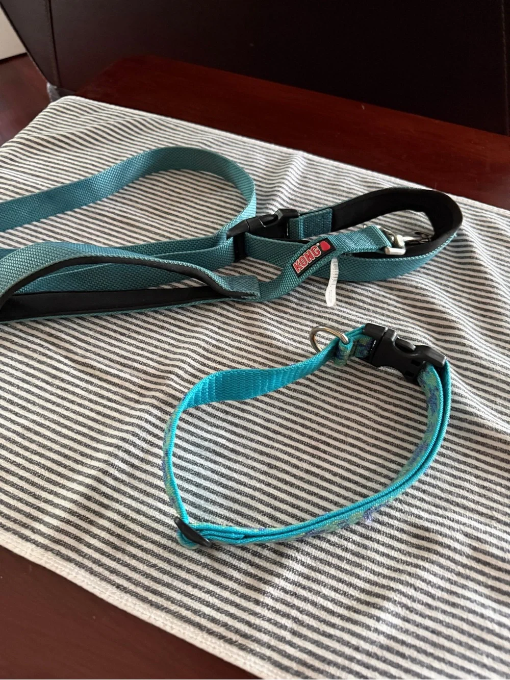 Kong Teal Dog Leash and Lupine Collar